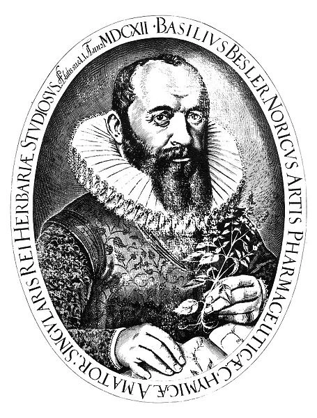 BASILIUS BESLER (1561-1629). German botanist. Engraving from Hortus Eystettensis