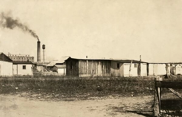 BEET WORKER HOUSING, 1915. View of The Jungle housing section for beet workers in Fort Collins