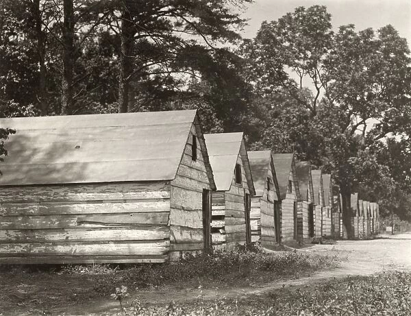 BERRY PICKER SHACKS, 1910. African American berry picker shacks on a farm in Ross, Delaware