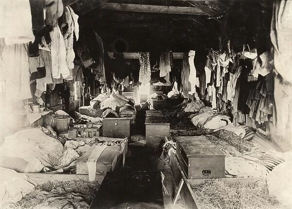 BERRY PICKER SHACKS, c1909. Interior of a crowded shack occupied by berry pickers