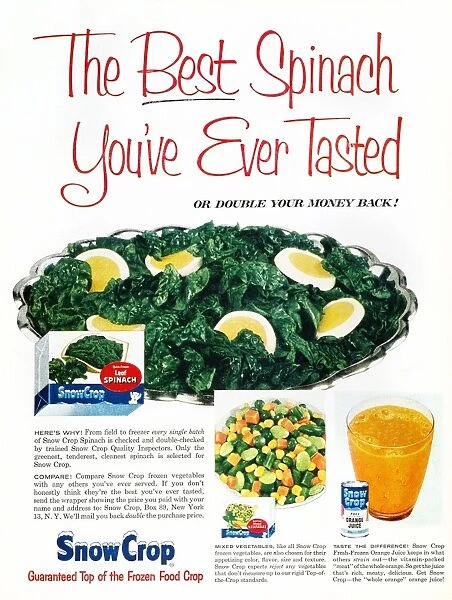 The Best Spinach You ve Ever Tasted. Advertisement for Snow Crop frozen foods from an American magazine, 1957