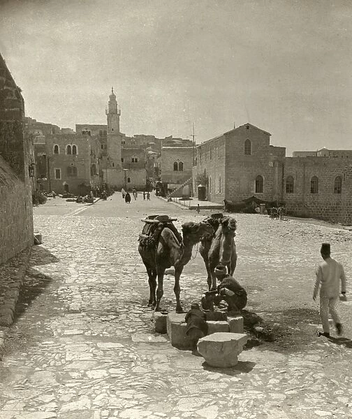 BETHLEHEM: STREET, c1911. Men with camels stop at a well in Bethlehem. Stereograph, c1911