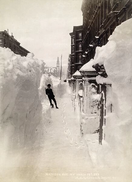 BLIZZARD OF 1888, NYC. Madison Avenue in New York City on March 14, 1888 after