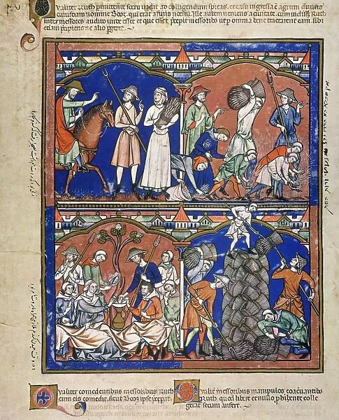 BOAZ SEES RUTH GLEANING in his field, top; Ruth eats with Boaz and the reapers