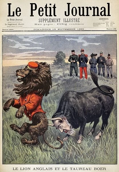BOER WAR CARTOON, 1899. The English Lion and the Boer Bull. The Afrikaner bull, with the head of Paul Krueger, attacks the British lion. French cartoon from a November 1899 issue of Le Petit Journal