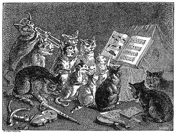 BREUGHEL: CONCERT OF CATS. Line engraving, 19th century, after Peter Breughel