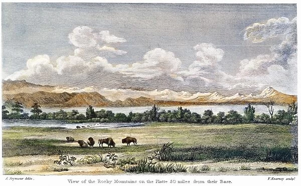 BUFFALO, 19th CENTURY. A small herd of buffalo grazing on a plain below the Rocky Mountains: American engraving, 19th century