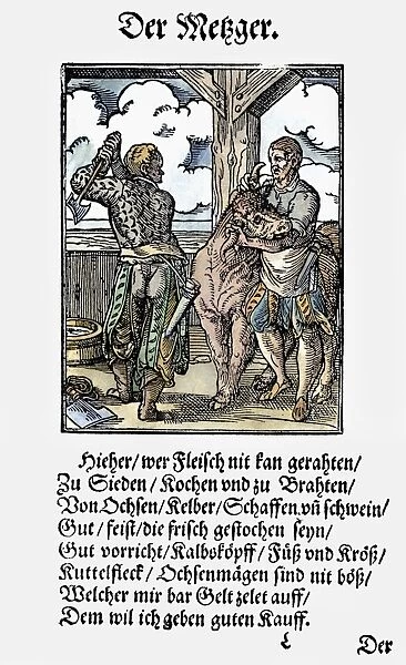 BUTCHER, 1568. Woodcut, 1568, by Jost Amman