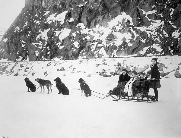 CANADA: DOG SLED, c1910. Girls on a dog sled in Canada. Photograph, c1910