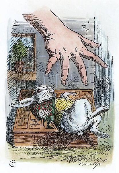 CARROLL: ALICE, 1865. After growing large, Alice reaches for the Rabbit