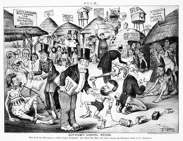CARTOON: ANARCHISTS, 1885. Gothams Gospel Needs: Why send our missionaries to