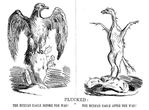 CARTOON: MEXICAN WAR, 1847. Plucked. An American cartoon of 1847 on the outcome