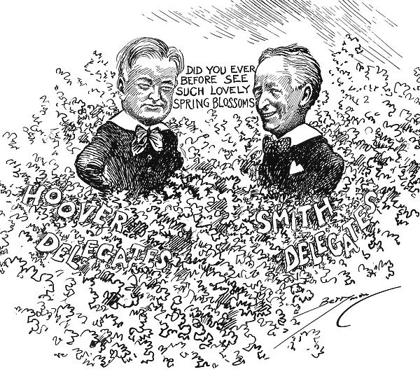Cartoon on the Presidential election of 1928 between Herbert Hoover (left) and Alfred E. Smith. Drawing, 1928, by Clifford Berryman