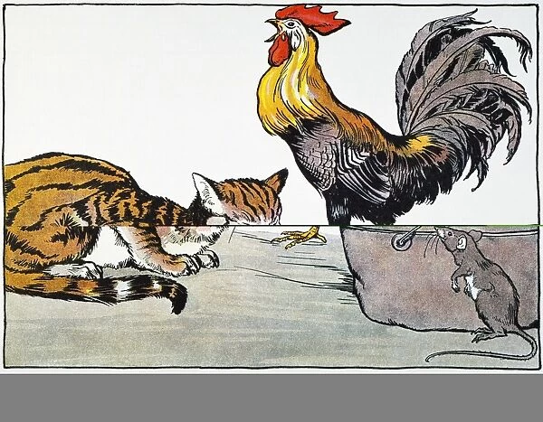 The Cat, the Cock, and the Young Mouse. Illustration by Milo Winter from a 1919 edition of Aesops Fables