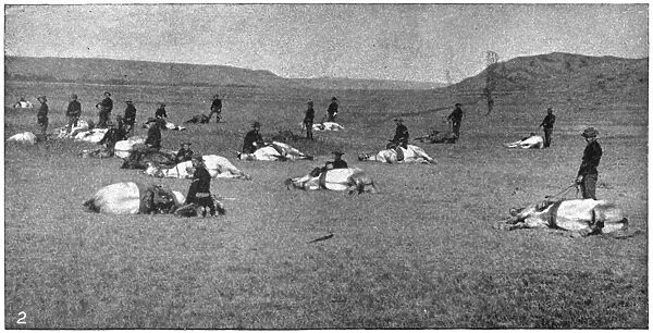 CAVALRY DRILL, 1890. Troops with the U