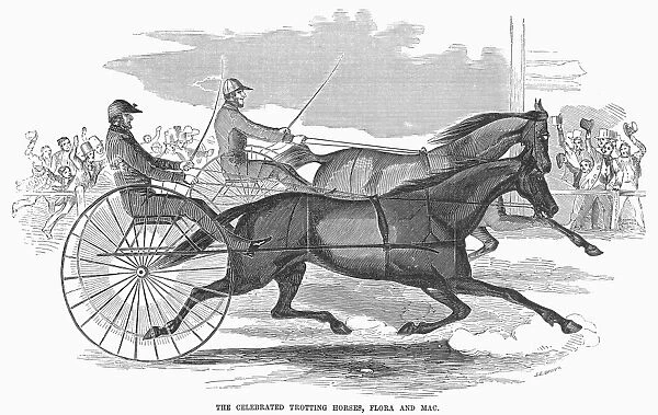 The celebrated trotting horses Flora and Mac. Wood engraving, 1854
