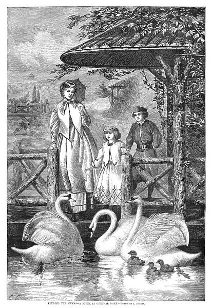 CENTRAL PARK: SWANS, 1867. Feeding the swans in Central Park, New York City. Engraving