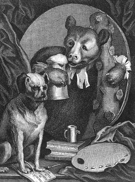 CHARLES CHURCHILL (1731-1764). English satirical poet. Churchill, the Bruiser, in the character of a bear. Line engraving, 19th century, after an 18th century etching by William Hogarth, a response to Churchills virulent satire on the artist