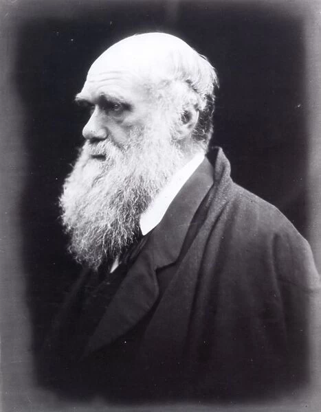 CHARLES DARWIN (1809-1882). English naturalist