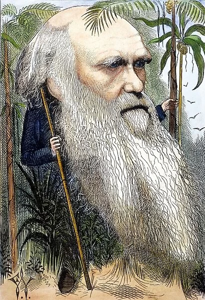 CHARLES ROBERT DARWIN (1809-1882). Caricature, 1872, by Frederick Waddy