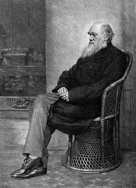 CHARLES ROBERT DARWIN (1809-1882). English naturalist. Wood engraving after a photograph