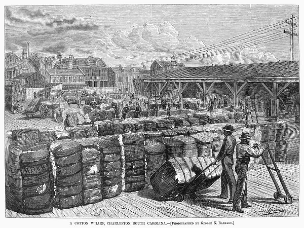 CHARLESTON: COTTON WHARF. A cotton wharf at Charleston, South Carolina. Wood engraving, American, 1878
