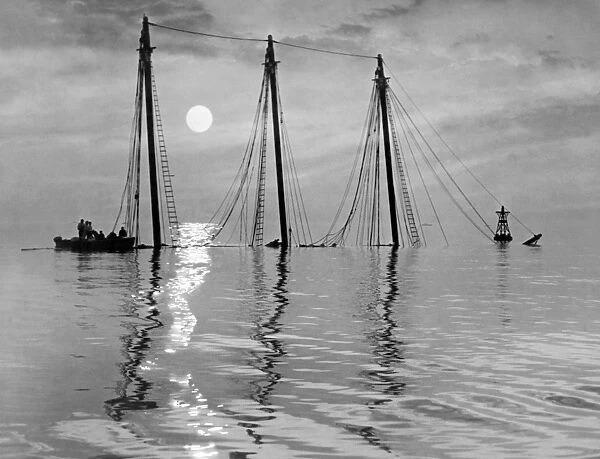 CHESAPEAKE BAY, 1955. The three masts of the sunken ship Edward J