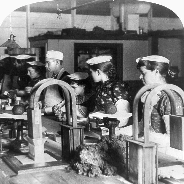 CHICAGO: MEATPACKING, c1893. Women and men weighing and packing mince meat at Armour s