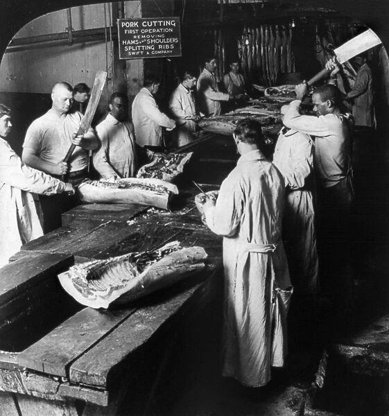 CHICAGO: MEATPACKING. Workers cutting up hogs by hand and removing the hams