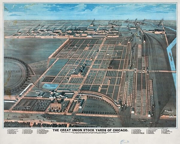 CHICAGO STOCKYARDS, 1878. The Great Union Stock Yards of Chicago. Map by Charles Rascher