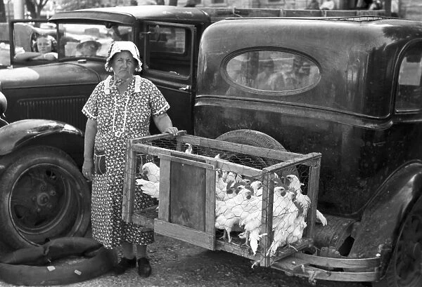 CHICKEN VENDOR, 1939. A farm woman selling chickens at a farmers market, Weatherford, Texas