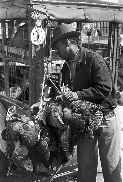 CHICKEN VENDOR, 1939. Weighing chickens at a farmers market, San Antonio, Texas