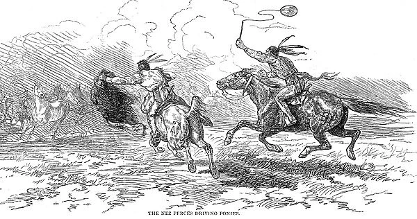 CHIEF JOSEPH (1840-1904). Native American chief of the Nez Perce tribe. Nez Perce warriors driving ponies during the outbreak of hostilities in 1877 known as Chief Josephs War. Wood engraving from a contemporary American newspaper