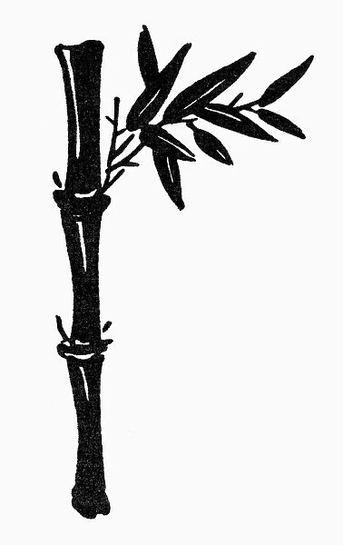 CHINESE SYMBOL: BAMBOO. Chinese symbol of grace and strength. Woodcut