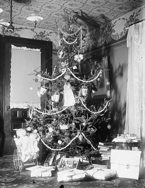 CHRISTMAS TREE, c1900. Christmas tree with presents under it in the home of Orville