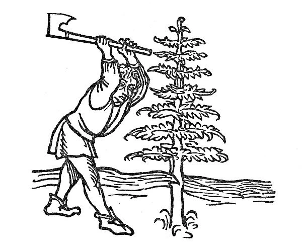 CHRISTMAS: WOODCUTTER. Woodcutter and the fir tree. Woodcut from Vita Aesopi Fabulatoris