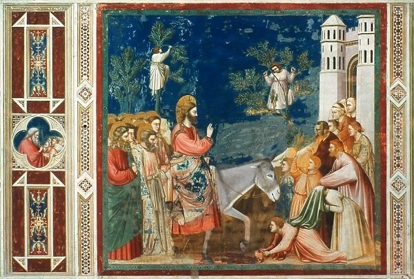 Christs Entry Into Jerusalem. Fresco from the Scrovegni Chapel, Padua, c1305