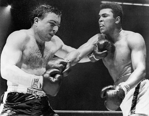 CHUVALO AND ALI, 1966. Canadian boxer George Chuvalo and American boxer Muhammad Ali (nÔÇÜ Cassius Clay) during the 14th round of a fight in Toronto, March 1966