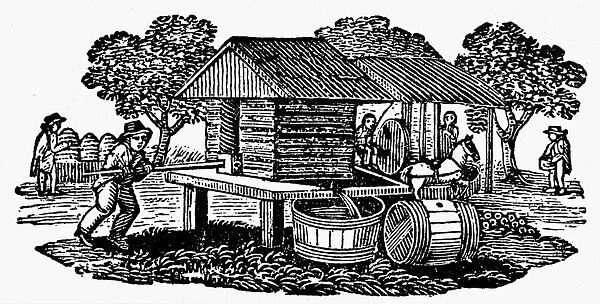 CIDER MILL, 19th CENTURY. A cider mill. Wood engraving from an American almanac, early 19th century