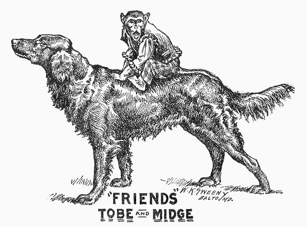 CIRCUS: ANIMALS, c1901. Friends Tobe and Midge. A monkey and a dog that were part of Frank C. Bostocks Wild Animal Arena. Engraving from an American circus program, c1901