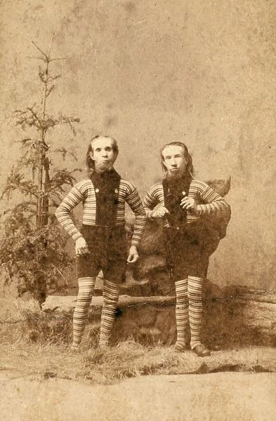 CIRCUS FREAKS, c1880. Waino and Plutano, the original Wild Men of Borneo, who were