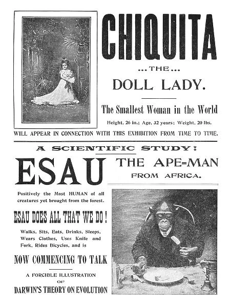 CIRCUS FREAKS, c1901. Chiquita the Doll Lady and Esau the Ape-Man from Africa