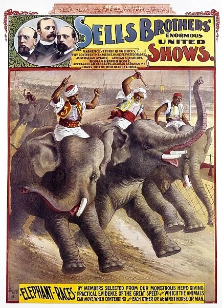 CIRCUS POSTER, c1890. American circus poster, c1890, for Sells Brothers Circus, featuring elephant races