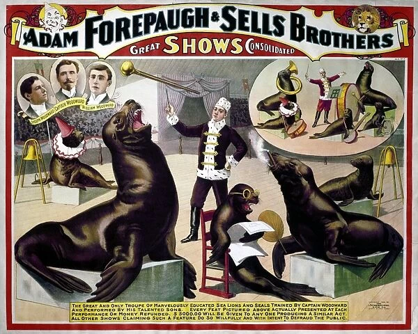 CIRCUS POSTER, c1898. American poster, c1898, for Forepaugh & Sells Brothers Circus, featuring trained seals performing in a circus ring