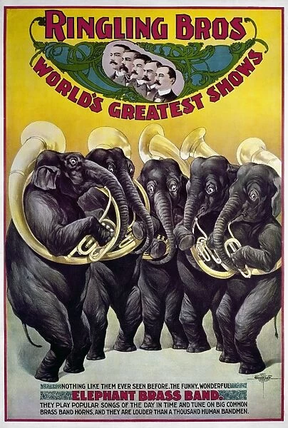 CIRCUS POSTER, c1899. American poster, c1899, for Ringling Brothers Circus, featuring an elephant brass band