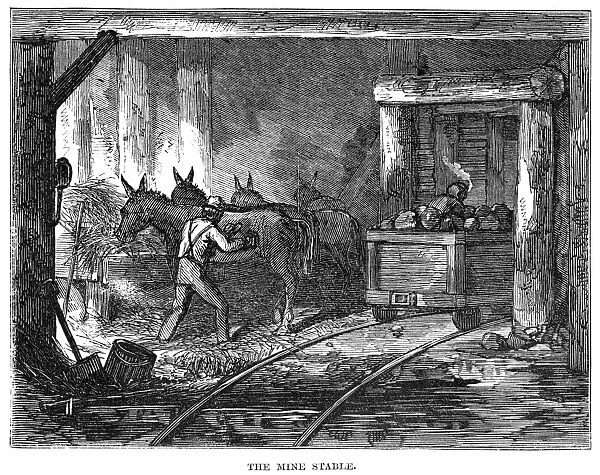 COAL MINE: STABLE, 1867. The stable at a coal mine near Pottsville, Pennsylvania