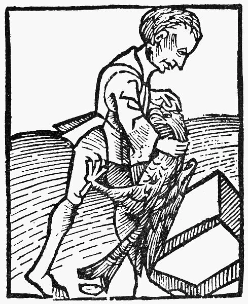 COCK STONE, 1491. Extracting an alectorian, or cock stone (believed to quench thirst