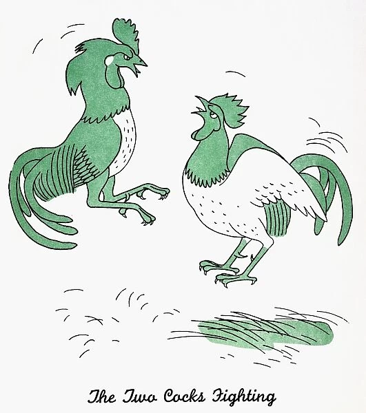 The Two Cocks Fighting. Illustration by Christopher Sanders to an edition of Aesops Fables