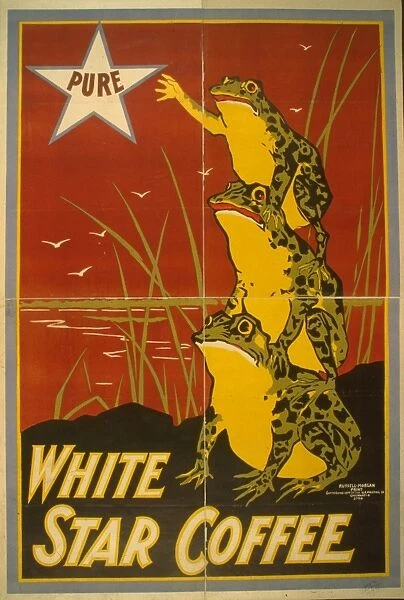 COFFEE AD, c1899. American lithographic advertising poster for White Star Coffee