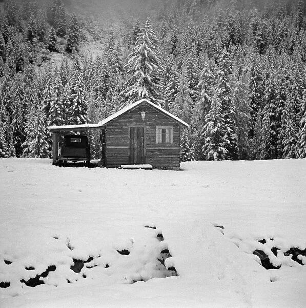 COLORADO: ASPEN, 1941. View of a cowhands cabin on a ranch in the mountains near Aspen, Colorado